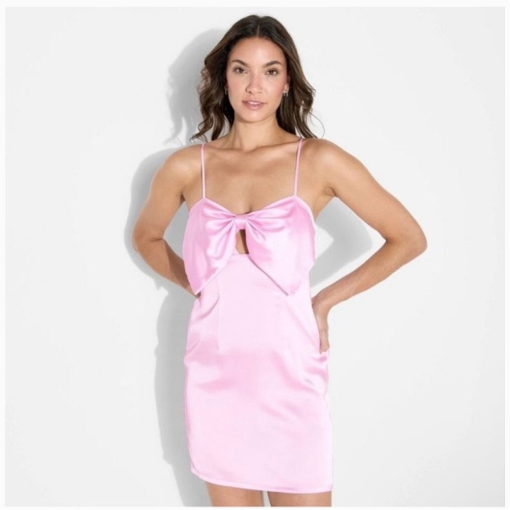 Wild Fable Pink Mini Dress